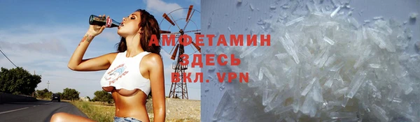 spice Болотное