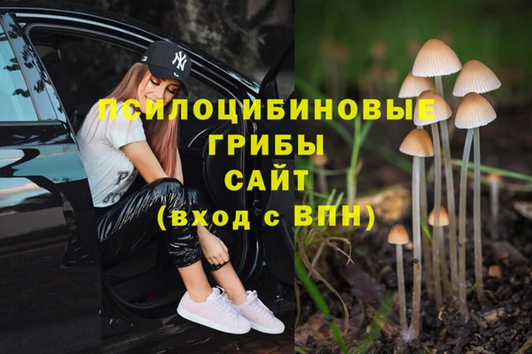 MESCALINE Надым