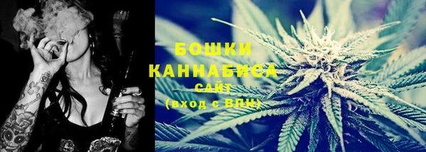 МДПВ Нея