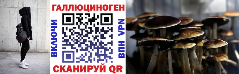 сколько стоит  Лебедянь  Галлюциногенные грибы Psilocybe 